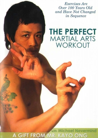BAYVIEW BAY351 PERFECT MARTIAL ARTS WORKOUT WITH MICHAEL NEVERMIND