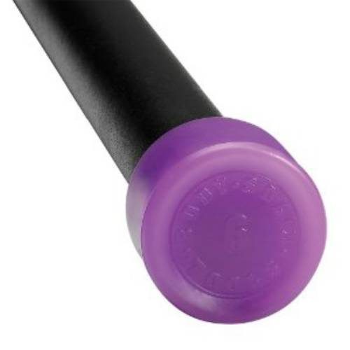 Body Solid Tools BSTFB6 6 lbs. Light Purple Padded Weighted Bar