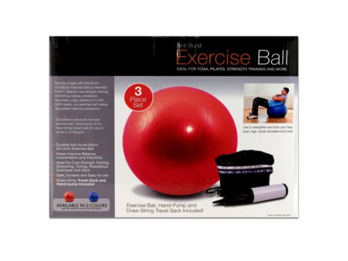Bulk Buys OB350-4 Exercise Ball With Pump
