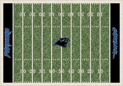 Carolina Panthers 3' 10" x 5' 4" Home Field Area Rug