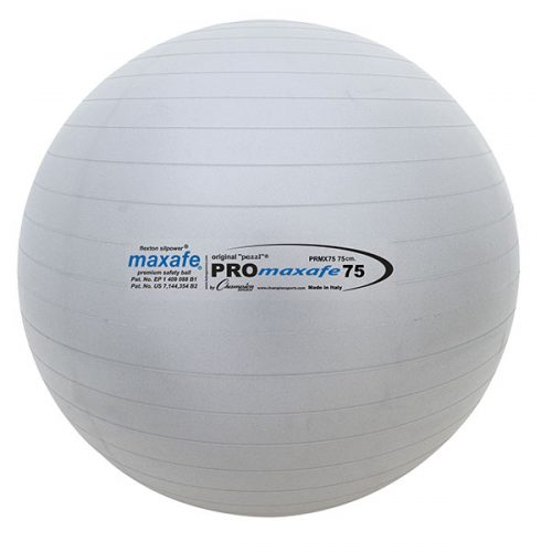 Champion Sports PRX75 30 in. Pro Maxafe Training & Exercise Ball Metallic Grey