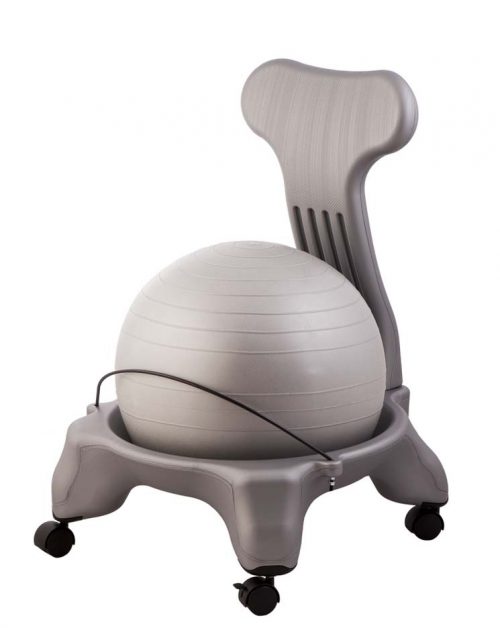 Fitpro Ball Chair