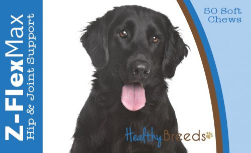Healthy Breeds 840235107002 Flat Coated Retriever Z-Flex Max Hip & Joint Soft Chews - 50 count