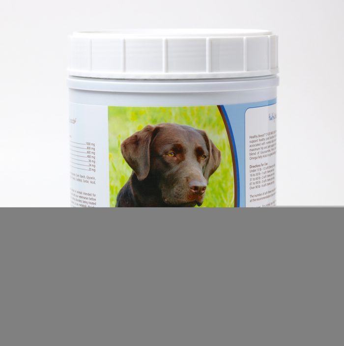 Healthy Breeds 840235109792 Labrador Retriever Z-Flex Max Hip & Joint Soft Chews - 170 Count