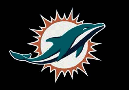 Miami Dolphins 3' 10" x 5' 4" Team Spirit Area Rug