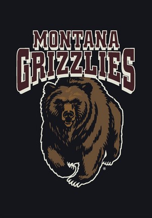 Montana Grizzlies 3'10"x 5'4" Team Spirit Area Rug