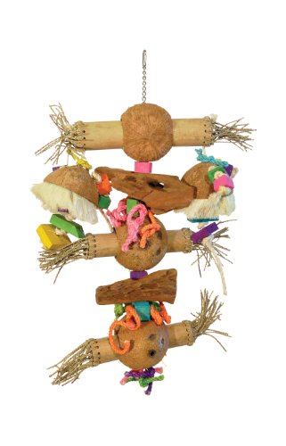 Prevue Pet Products 48081624746 Bodacious Bites Bamboo Shoots Bird Toy