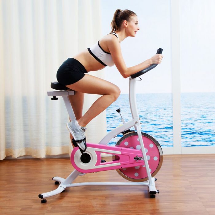 Sunny Health & Fitness P8100 Indoor Cycling Bike Pink