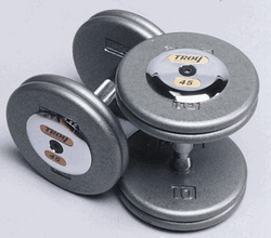 Troy Barbell HFD-12.5C Grey Troy Pro-Style Cast dumbbells - Chrome endcaps - 12.5 lbs. - Sold as Pairs