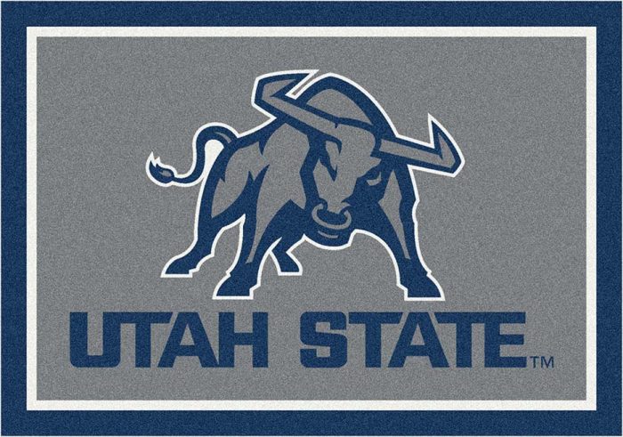 Utah State Aggies 3'10"x 5'4" Team Spirit Area Rug