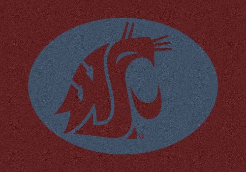 Washington State Cougars 3'10"x 5'4" Team Spirit Area Rug