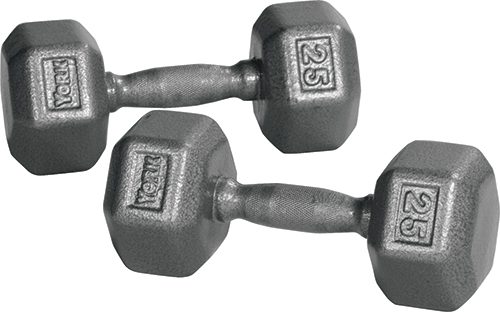 York Barbell 34020 Pro Hex Dumbbell with Cast Ergo Handle Grey - 80 lbs