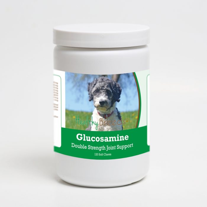 Healthy Breeds 192959013863 Aussiedoodle Glucosamine DS Plus MSM - 120 Count
