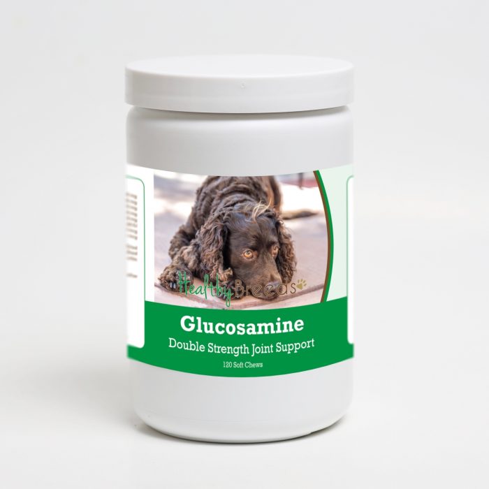 Healthy Breeds 192959013894 American Water Spaniel Glucosamine DS Plus MSM - 120 Count