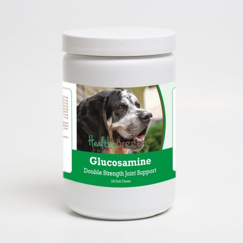 Healthy Breeds 192959014068 Bluetick Coonhound Glucosamine DS Plus MSM - 120 Count