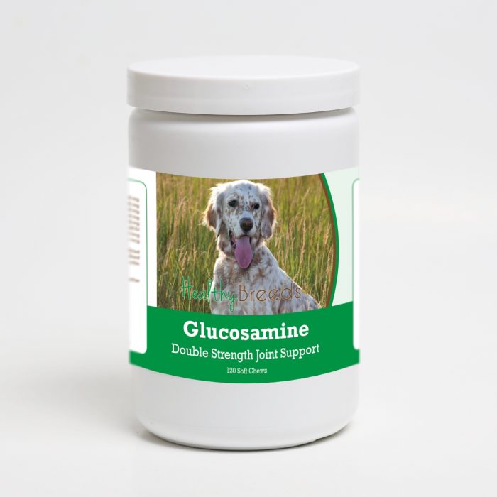Healthy Breeds 192959014570 English Setter Glucosamine DS Plus MSM - 120 Count