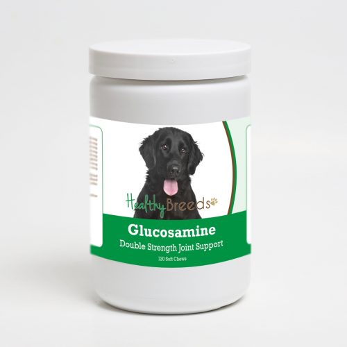Healthy Breeds 192959014648 Flat Coated Retriever Glucosamine DS Plus MSM - 120 Count