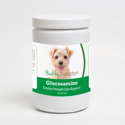 Healthy Breeds 192959015195 Norfolk Terrier Glucosamine DS Plus MSM - 120 Count