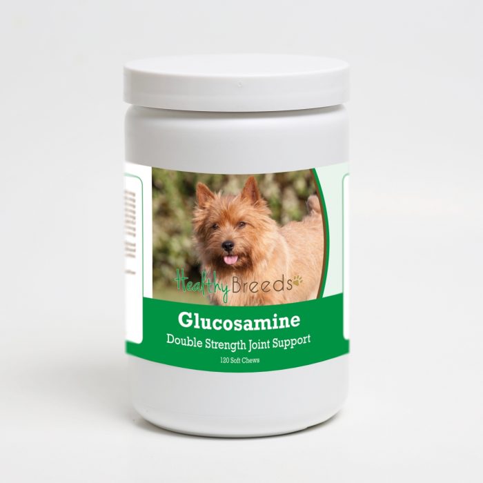 Healthy Breeds 192959015201 Norwich Terrier Glucosamine DS Plus MSM - 120 Count