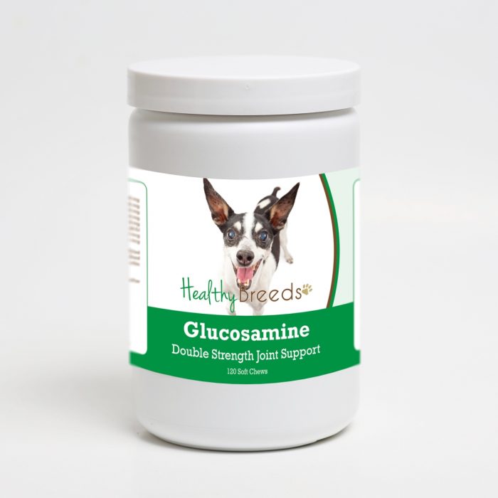 Healthy Breeds 192959015461 Rat Terrier Glucosamine DS Plus MSM - 120 Count