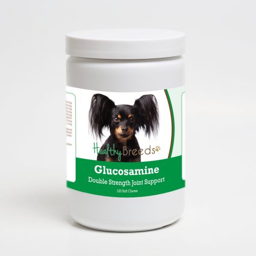 Healthy Breeds 192959015508 Russian Toy Terrier Glucosamine DS Plus MSM - 120 Count