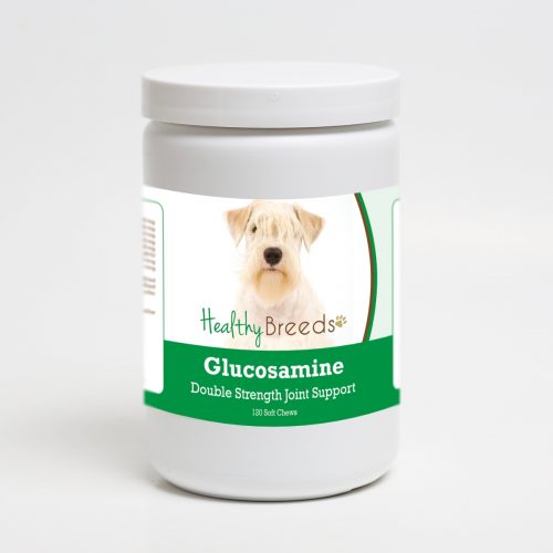 Healthy Breeds 192959015577 Sealyham Terrier Glucosamine DS Plus MSM - 120 Count