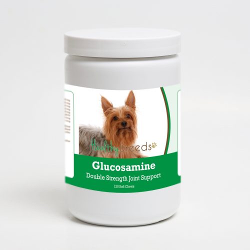 Healthy Breeds 192959015638 Silky Terrier Glucosamine DS Plus MSM - 120 Count