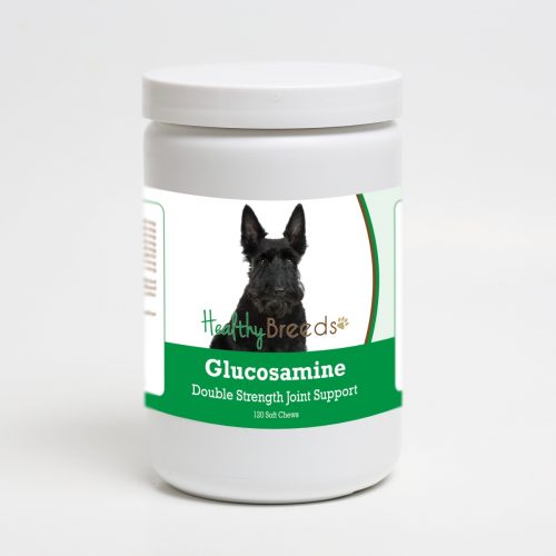 Healthy Breeds 192959015713 Scottish Terrier Glucosamine DS Plus MSM - 120 Count