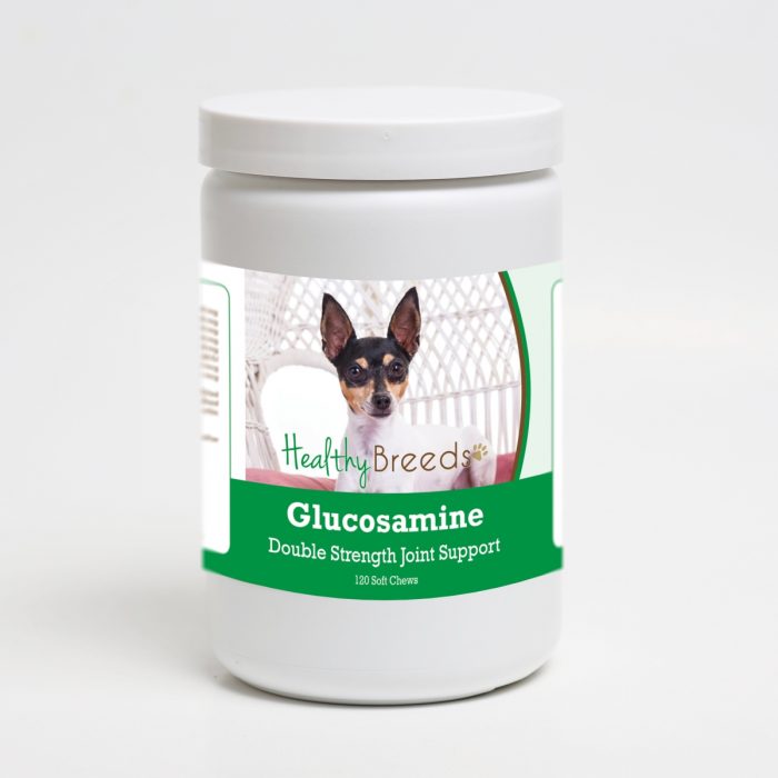 Healthy Breeds 192959015775 Toy Fox Terrier Glucosamine DS Plus MSM - 120 Count
