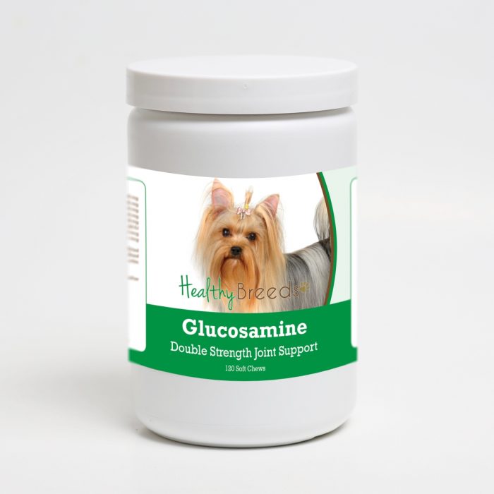 Healthy Breeds 192959015942 Yorkshire Terrier Glucosamine DS Plus MSM - 120 Count