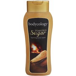 Merchandise 7979398 Bodycology Toasted Sugar Foaming Body Wash 16 fl oz
