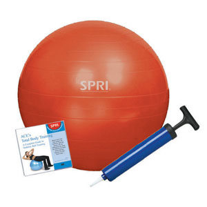 SPRI Xercise Ball 65 cm Stability Ball Training Kit with DVD